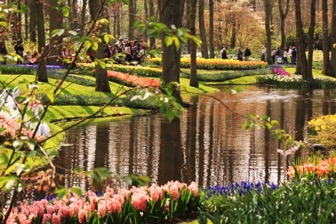 Keukenhof lale bah&ccedil;eleri